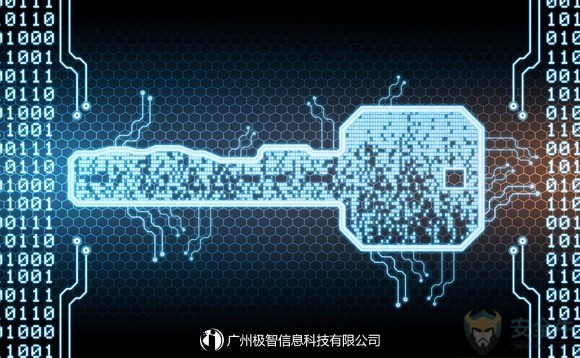 广州极智信息科技有限公司